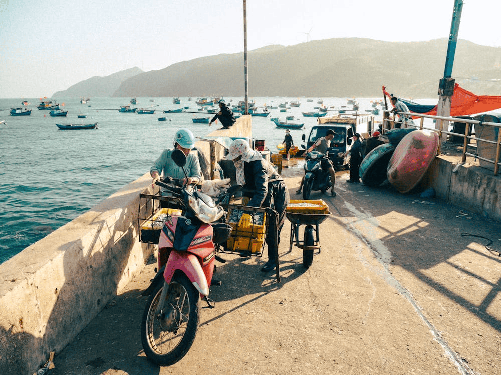 If you visit the fishing village in the early morning, you’ll get to experience the bustling seafood market right by the sea (Source: Pexels)